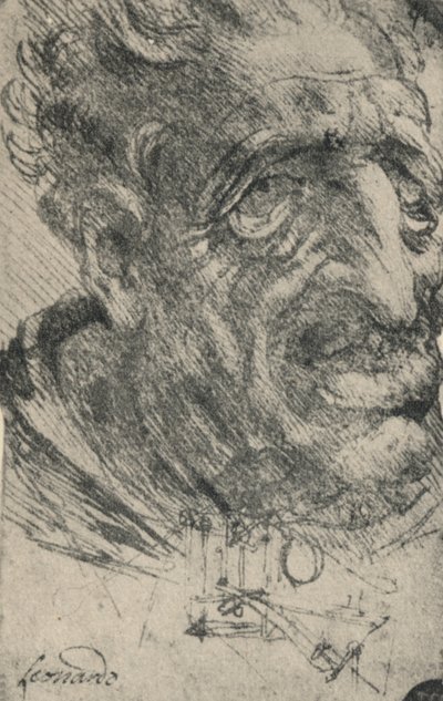 Grotesker Kopf eines Mannes, drei Viertel nach rechts gedreht, um 1480 1945 von Leonardo da Vinci