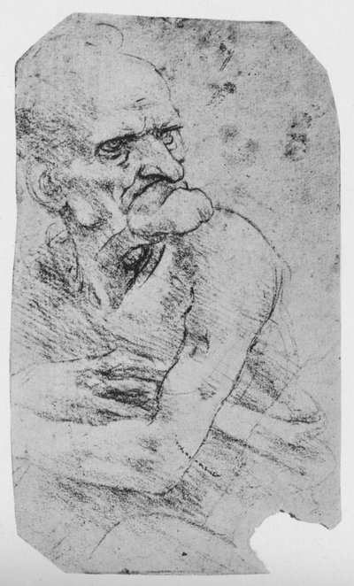 Halblangen Karikatur eines alten Mannes mit markantem Kinn, um 1480 von Leonardo da Vinci