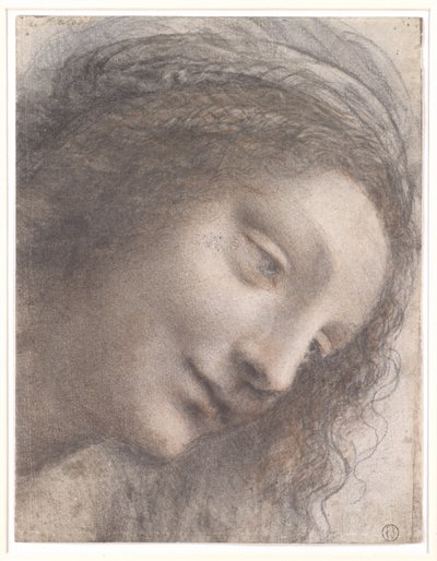 Kopf der Jungfrau, 1508-1512 von Leonardo da Vinci