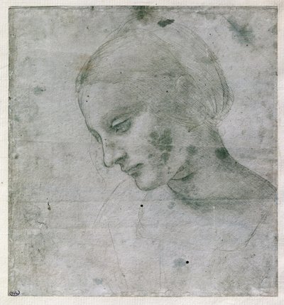 Kopf einer jungen Frau oder Kopf der Jungfrau, um 1490 von Leonardo da Vinci