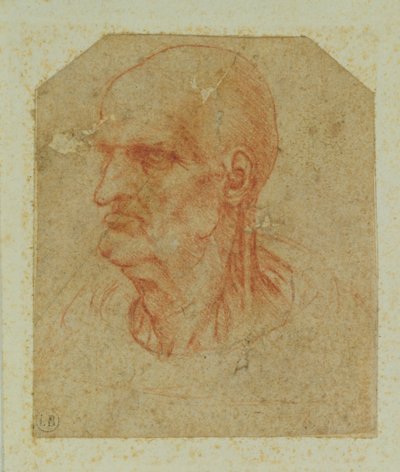 Kopf eines bartlosen alten Mannes, linkes Profil von Leonardo da Vinci