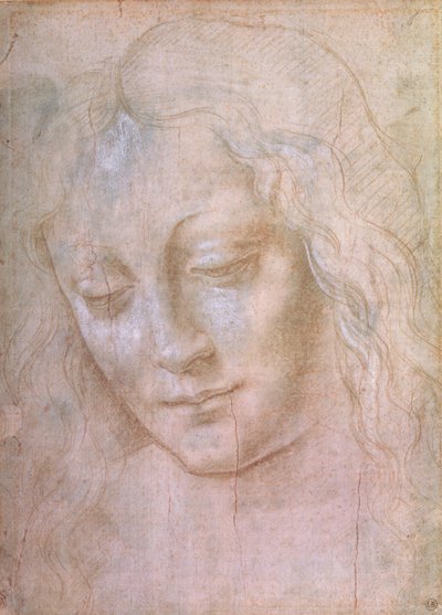 Kopf einer Frau von Leonardo da Vinci