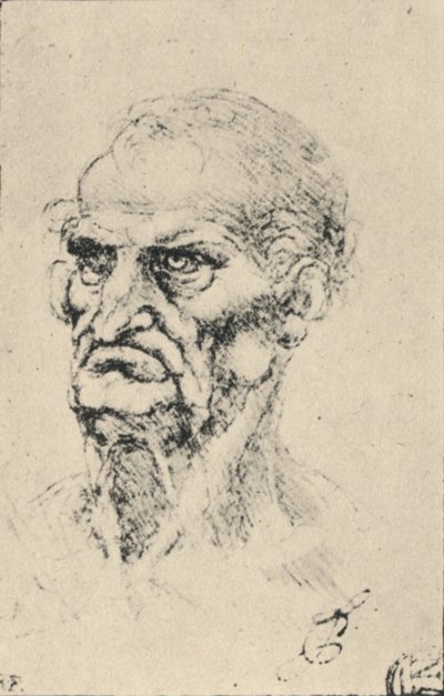 Kopf eines alten Mannes, Dreiviertelansicht nach links, ca. 1480 von Leonardo da Vinci
