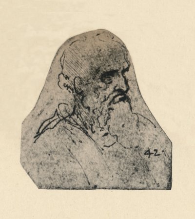 Kopf eines alten Mannes nach rechts gedreht, ca. 1480, 1945 von Leonardo da Vinci