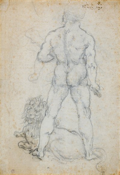 Herkules und der nemeische Löwe, ca. 1506-08 von Leonardo da Vinci