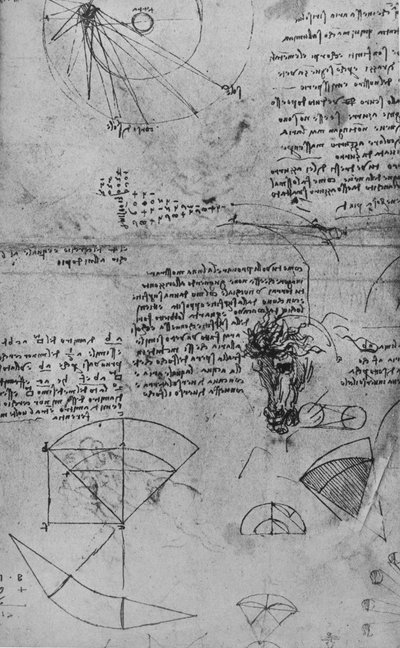 Notizen zur Astronomie und Studie eines Pferdekopfes, ca. 1480 von Leonardo da Vinci