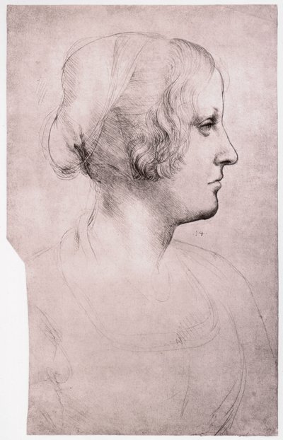 Porträt eines Mädchens mit Mütze, 1493-1495 von Leonardo da Vinci