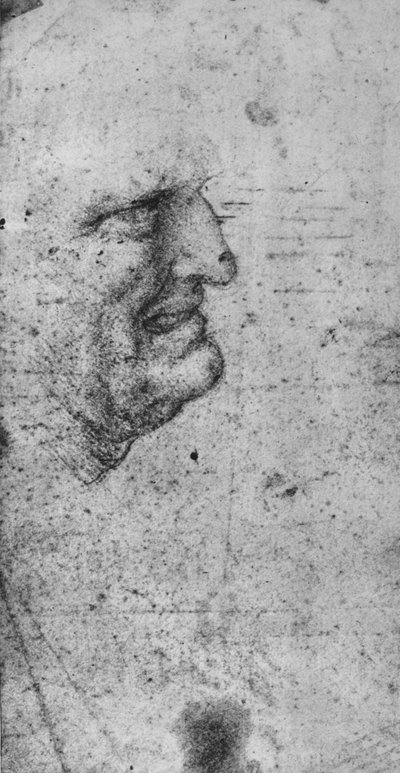 Profil eines Mannes mit zusammengebissenen Zähnen, ca. 1480, 1945 von Leonardo da Vinci