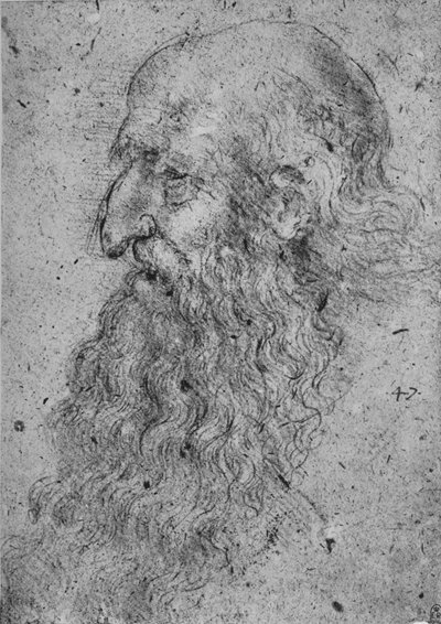 Profil eines alten, bärtigen Mannes nach links, um 1480 1945 von Leonardo da Vinci