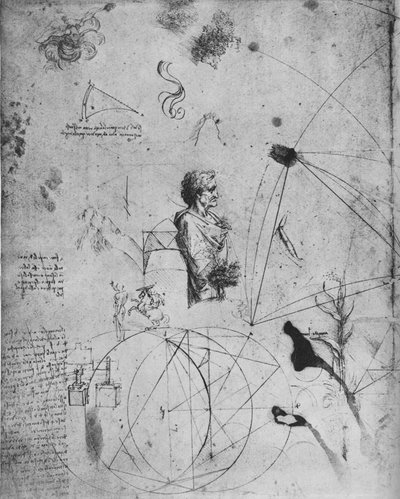Profil eines alten Mannes, Pflanzen, geometrische Figuren usw., um 1480 1945 von Leonardo da Vinci