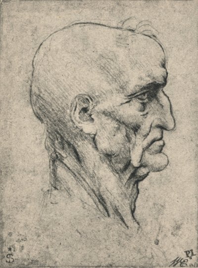 Profil eines älteren, kahlen Mannes nach rechts, um 1480 1945 von Leonardo da Vinci