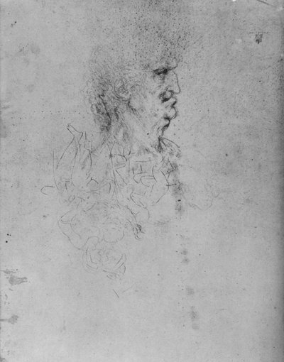 Profil eines alten Mannes nach rechts, ca. 1480 von Leonardo da Vinci