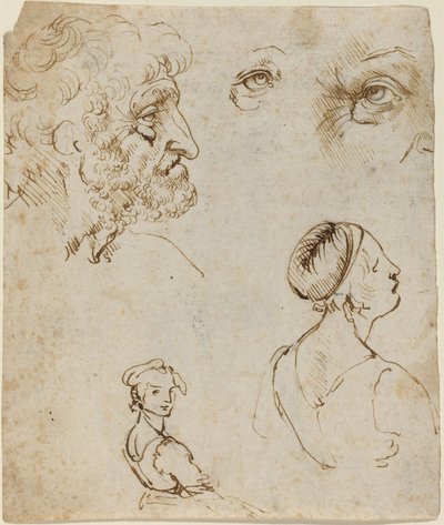 Blatt mit Studien [recto] von Leonardo da Vinci