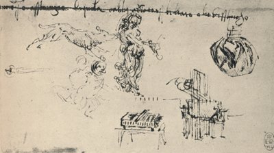 Blatt mit Studien einer jungen Frau, eines Wolfs usw., um 1480, 1945 von Leonardo da Vinci