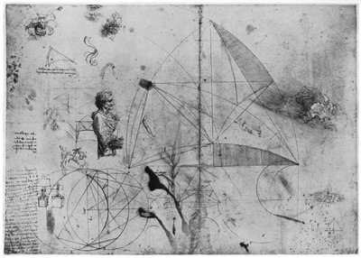 Blatt mit Studien, spätes 15. oder frühes 16. Jahrhundert 1954 von Leonardo da Vinci