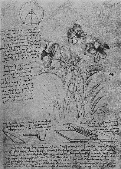 Studien von Bratschen und Methoden des Lötens von Bleidächern, ca. 1480 1945 von Leonardo da Vinci