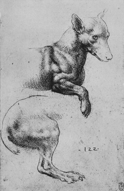 Studien der Vorder- und Hinterteile eines Hundes, ca. 1480 von Leonardo da Vinci