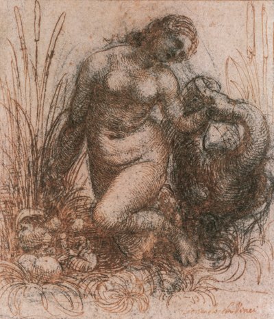 Studie für Leda und der Schwan von Leonardo da Vinci, Zeichnung von Leonardo da Vinci