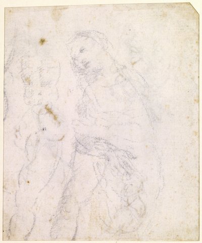 Studie einer Madonna von Leonardo da Vinci