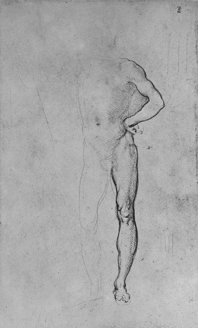 Studie eines nackten Mannes mit der linken Hand auf der Hüfte, ca. 1480 von Leonardo da Vinci