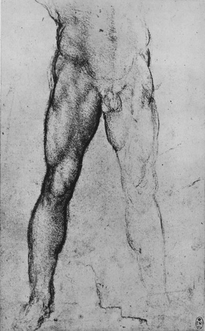 Studie der unteren Hälfte eines nackten Mannes, der nach vorne schaut von Leonardo da Vinci