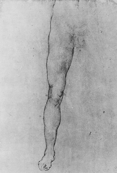 Studie der unteren Hälfte eines nackten Mannes, der nach vorne schaut von Leonardo da Vinci