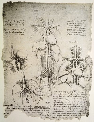 Das Herz und der Kreislauf, Faksimile des Windsor-Buchs von Leonardo da Vinci