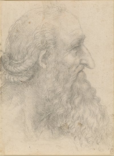 Der Kopf eines alten bärtigen Mannes, ca. 1517 von Leonardo da Vinci