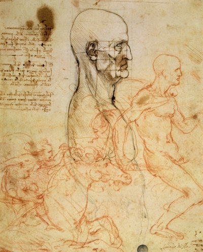 Torso eines Mannes im Profil, der Kopf für Proportionen quadratisch, und Skizzen von zwei Reitern, ca. 1490 und ca. 1504 von Leonardo da Vinci