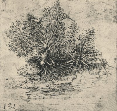 Zwei Bäume am Ufer eines Baches, ca. 1480 von Leonardo da Vinci