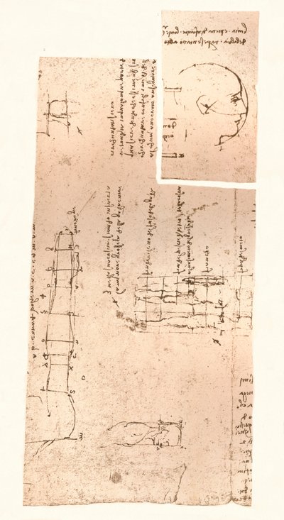 Zwei Zeichnungen zur Theorie der Proportionen der menschlichen Figur, ca. 1472-ca. 1519, 1883 von Leonardo da Vinci