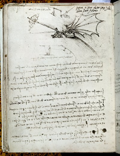 Flügeltraining. Flugmaschinenzeichnung. Manuskript von Leonardo da Vinci von Leonardo da Vinci