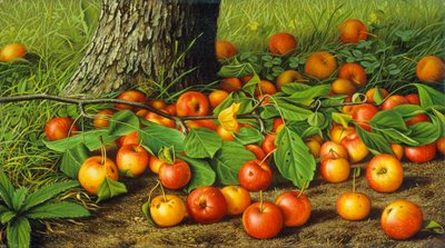Stillleben mit Äpfeln an einem Baum von Levi Wells Prentice