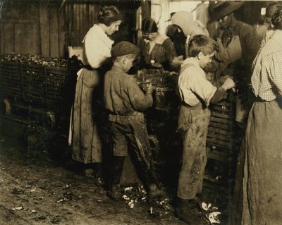 Der 10-jährige Jimmie, der seit 3 Jahren (6 Töpfe pro Tag) mit einem 11-jährigen Jungen, der 7 Töpfe schält, bei Varn und Platt Canning Co., Bluffton, South Carolina, 1913 von Lewis Wickes Hine
