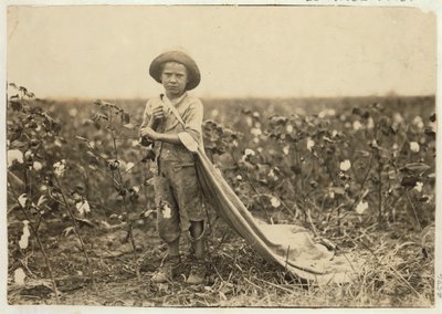 Der 6-jährige Warren Frakes mit etwa 20 Pfund Baumwolle in seinem Sack in Comanche County, Oklahoma, 1916 von Lewis Wickes Hine