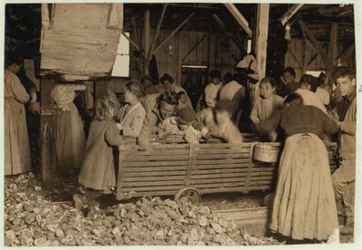 Bill May, 5 Jahre alt, der 15 Cent pro Tag verdient, in der Schälhalle der Barataria Canning Company, Biloxi, Mississippi, 1911 von Lewis Wickes Hine