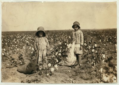 Jewel und Harold Walker, 6 und 5 Jahre alt, pflücken 20 bis 25 Pfund Baumwolle pro Tag in Geronimo, Comanche County, Oklahoma, 1916 von Lewis Wickes Hine