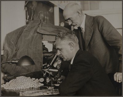  von Lewis Wickes Hine