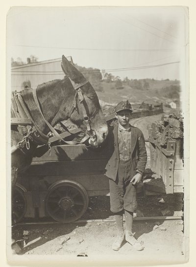 Junger Fahrer in einer Kohlenmine in West Virginia von Lewis Wickes Hine