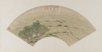 Reisfelder mit Reihern, Qing-Dynastie, 1741 von Li Shizuo