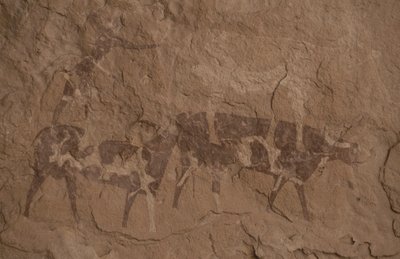 Rinder und menschliche Figuren, Höhlenmalerei, Oued in Djeran, in der Nähe von Djanet, Tassili n