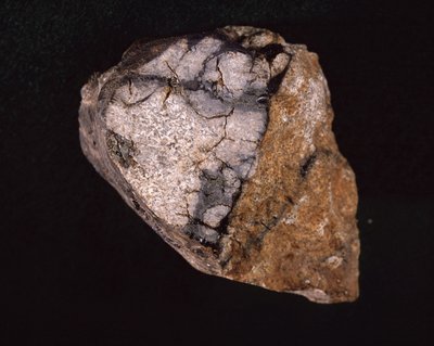Meteorit gefunden in Indien im Jahr 1875 - Naturhistorisches Museum, Paris von Unbekannt Unbekannt