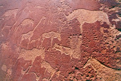 Namibia, Damaraland Wildnisgebiet, Twyfelfontein, Brandberg-Gebirge, Felsgravuren aus der Steinzeit von Unbekannt Unbekannt