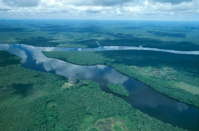 Venezuela, Guayana, Amazonas-Staat, Orinoco-Fluss (Luftaufnahme) von Unbekannt Unbekannt