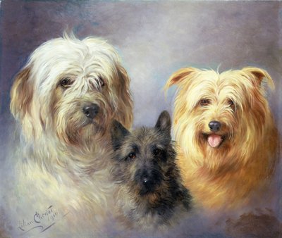 Ein Tibeter, Cairn und ein Seidenterrier von Lilian Cheviot