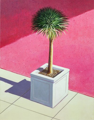 Kleine Palme, 1995 von Lincoln Seligman