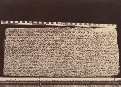 Elliot-Marmore, 1859 von Linnaeus Tripe