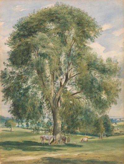 Ein großer Baum in einer Sommerlandschaft, ein Pferd steht am Fuß von Lionel Constable