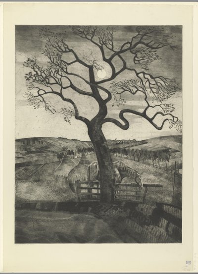 Pferd auf einer Weide bei Etikhove von Lodewijk Schelfhout (signed by artist)