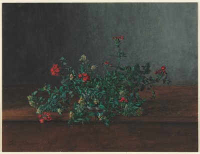 Stillleben mit Wildblumen von Léon Bonvin